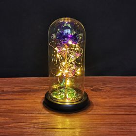 2023 LED Enchanted Galaxy Rose Eternal Rose Forever Rose In Glass Valentines Day Gift for Girlfriend Christmas Wedding Birthday (Color: Purple- Warm light)